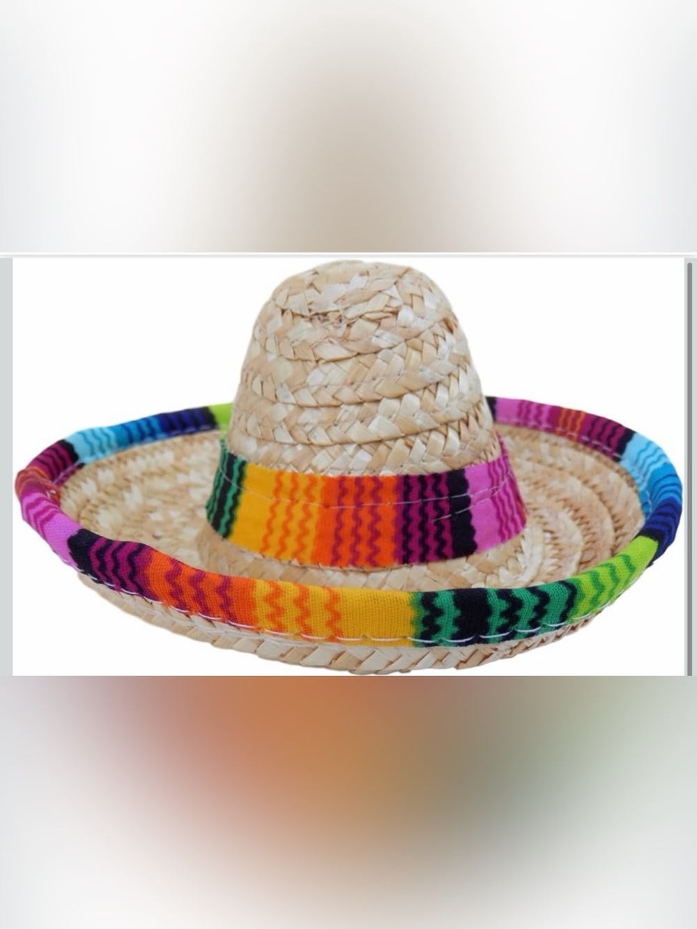 League Dog Sombrero Hat - Like New Excellent Condition